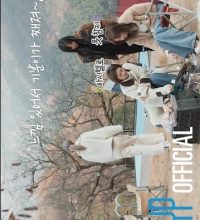 TWICE REALITY "TIME TO TWICE" Healing December (2022)